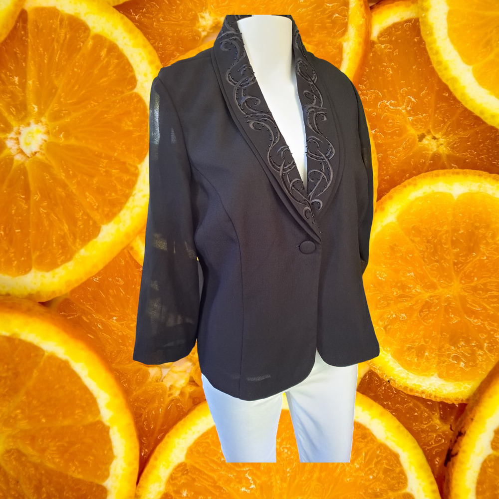 Danny & Nicole Black Blouse with Sheer Arms and Decorative Collar Size 12P